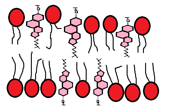 How Length of Time Spent Stick Blending Affects Fluidity