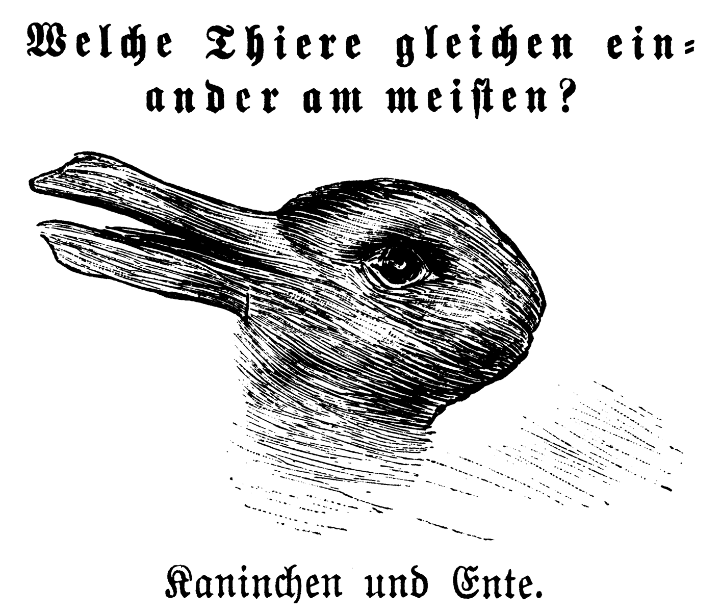 Rabbit-Duck Optical Illusion