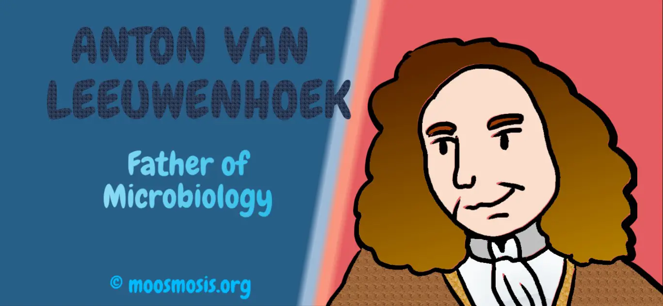 Anton van Leeuwenhoek - Copyright Moosmosis.org