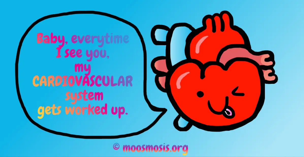 Heart Anatomy Joke Pun Comic - Circulatory System - Copyright Moosmosis.org